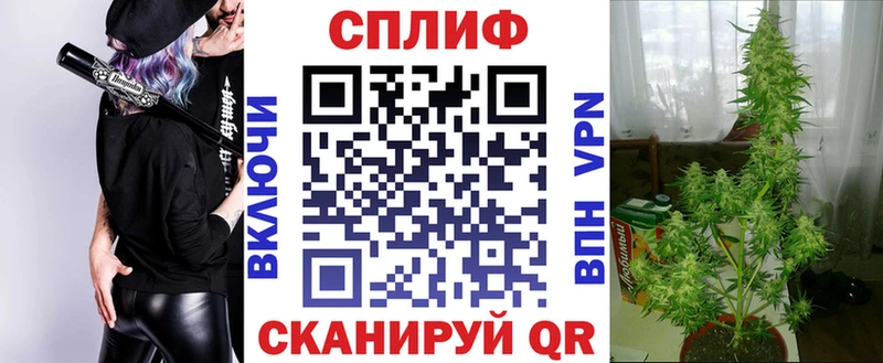 наркота  Лагань  Марихуана тримм 